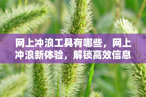 网上冲浪工具有哪些,网上冲浪新体验,解锁高效信息获取与创意表达的秘诀 网上冲浪工具有哪些,网上冲浪新体验,解锁高效信息获取与创意表达的秘诀