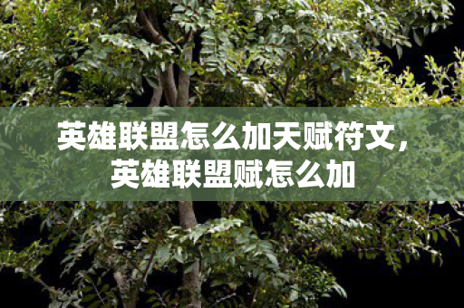 英雄联盟怎么加天赋符文,英雄联盟赋怎么加 英雄联盟怎么加天赋符文,英雄联盟赋怎么加