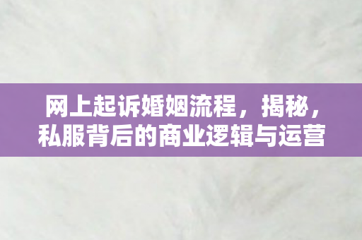 网上起诉婚姻流程,揭秘,私服背后的商业逻辑与运营策略 网上起诉婚姻流程,揭秘,私服背后的商业逻辑与运营策略