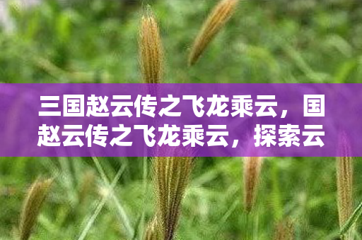 三国赵云传之飞龙乘云,国赵云传之飞龙乘云,探索云中的传奇之旅 三国赵云传之飞龙乘云,国赵云传之飞龙乘云,探索云中的传奇之旅