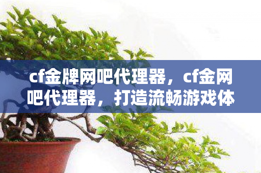 cf金牌网吧代理器,cf金网吧代理器,打造流畅游戏体验的利器 cf金牌网吧代理器,cf金网吧代理器,打造流畅游戏体验的利器