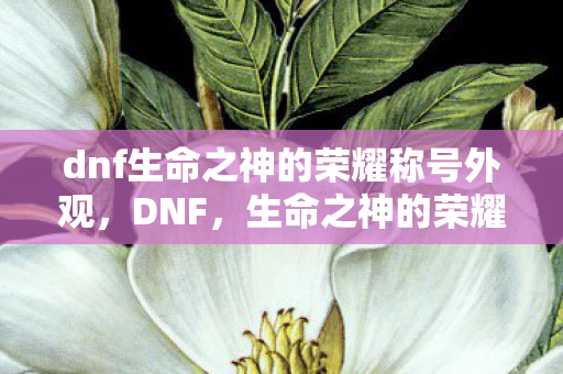 dnf生命之神的荣耀称号外观,DNF,生命之神的荣耀,探索无尽的战斗艺术 dnf生命之神的荣耀称号外观,DNF,生命之神的荣耀,探索无尽的战斗艺术