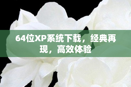 64位XP系统下载，经典再现，高效体验