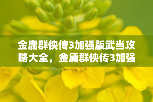 金庸群侠传3加强版武当攻略大全,金庸群侠传3加强版武当攻略 金庸群侠传3加强版武当攻略大全,金庸群侠传3加强版武当攻略