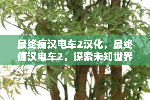 最终痴汉电车2汉化,最终痴汉电车2,探索未知世界的奇妙之旅 最终痴汉电车2汉化,最终痴汉电车2,探索未知世界的奇妙之旅