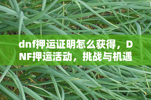 dnf押运证明怎么获得,DNF押运活动,挑战与机遇并存的冒险之旅 dnf押运证明怎么获得,DNF押运活动,挑战与机遇并存的冒险之旅