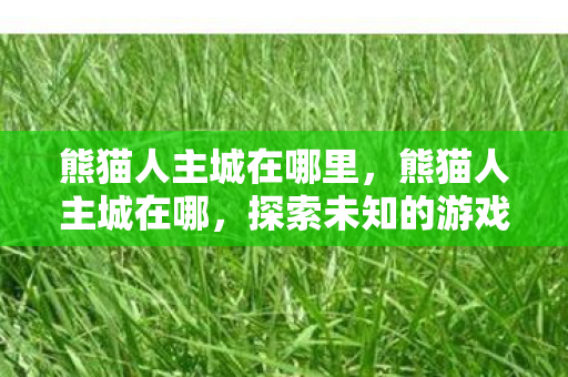 熊猫人主城在哪里，熊猫人主城在哪，探索未知的游戏奇幻世界