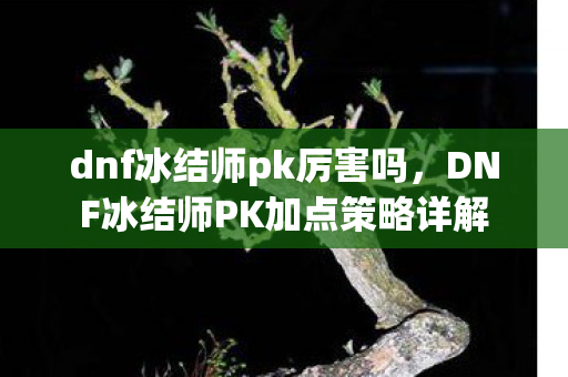 dnf冰结师pk厉害吗,DNF冰结师PK加点策略详解 dnf冰结师pk厉害吗,DNF冰结师PK加点策略详解