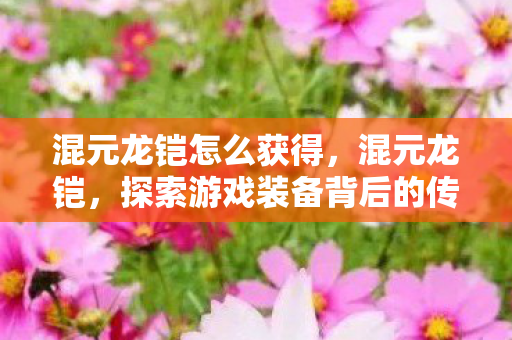 混元龙铠怎么获得,混元龙铠,探索游戏装备背后的传奇故事 混元龙铠怎么获得,混元龙铠,探索游戏装备背后的传奇故事
