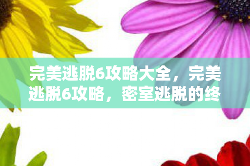 完美逃脱6攻略大全，完美逃脱6攻略，密室逃脱的终极挑战