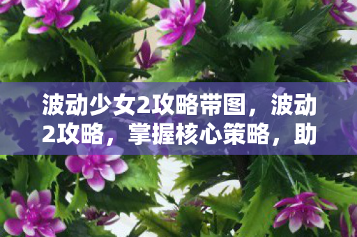 波动少女2攻略带图,波动2攻略,掌握核心策略,助你轻松通关 波动少女2攻略带图,波动2攻略,掌握核心策略,助你轻松通关