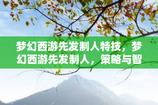 梦幻西游先发制人特技,梦幻西游先发制人,策略与智慧的碰撞 梦幻西游先发制人特技,梦幻西游先发制人,策略与智慧的碰撞