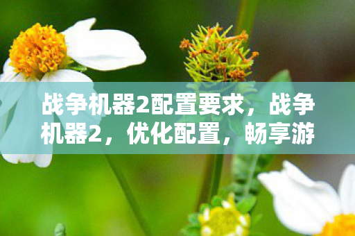 战争机器2配置要求,战争机器2,优化配置,畅享游戏盛宴 战争机器2配置要求,战争机器2,优化配置,畅享游戏盛宴