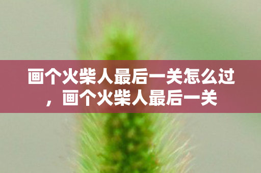 画个火柴人最后一关怎么过,画个火柴人最后一关 画个火柴人最后一关怎么过,画个火柴人最后一关
