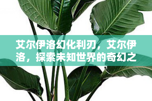 艾尔伊洛幻化利刃,艾尔伊洛,探索未知世界的奇幻之旅 艾尔伊洛幻化利刃,艾尔伊洛,探索未知世界的奇幻之旅