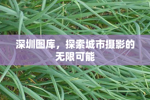深圳图库,探索城市摄影的无限可能 深圳图库,探索城市摄影的无限可能