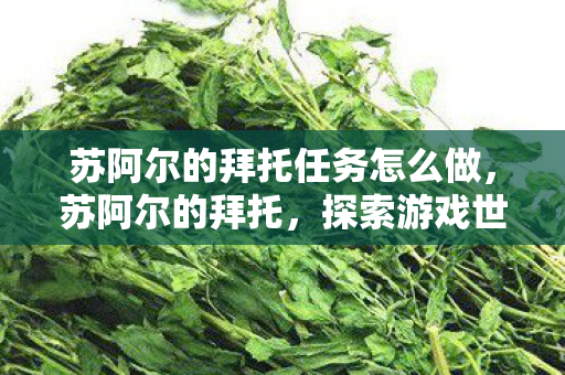 苏阿尔的拜托任务怎么做,苏阿尔的拜托,探索游戏世界的无限可能 苏阿尔的拜托任务怎么做,苏阿尔的拜托,探索游戏世界的无限可能