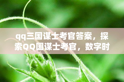 qq三国谋士考官答案,探索QQ国谋士考官,数字时代的智慧选拔 qq三国谋士考官答案,探索QQ国谋士考官,数字时代的智慧选拔