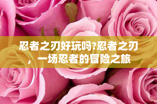 忍者之刃好玩吗?忍者之刃,一场忍者的冒险之旅 忍者之刃好玩吗?忍者之刃,一场忍者的冒险之旅