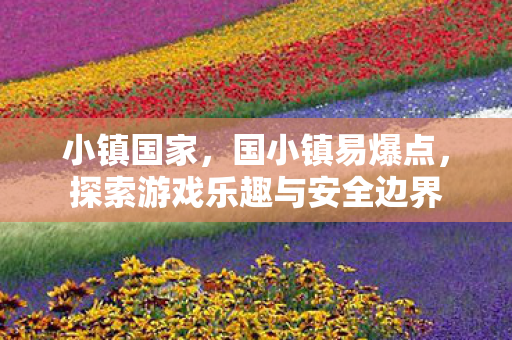 小镇国家,国小镇易爆点,探索游戏乐趣与安全边界 小镇国家,国小镇易爆点,探索游戏乐趣与安全边界