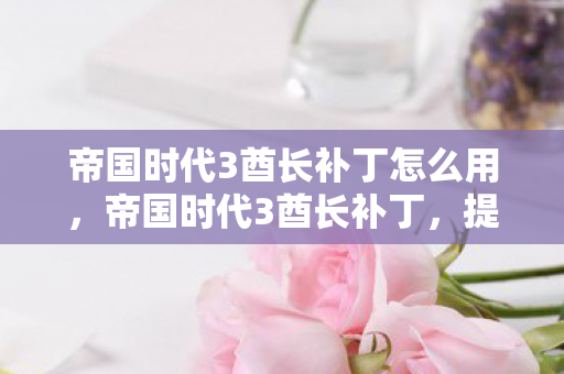 帝国时代3酋长补丁怎么用，帝国时代3酋长补丁，提升游戏体验的必备神器