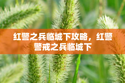红警之兵临城下攻略,红警警戒之兵临城下 红警之兵临城下攻略,红警警戒之兵临城下