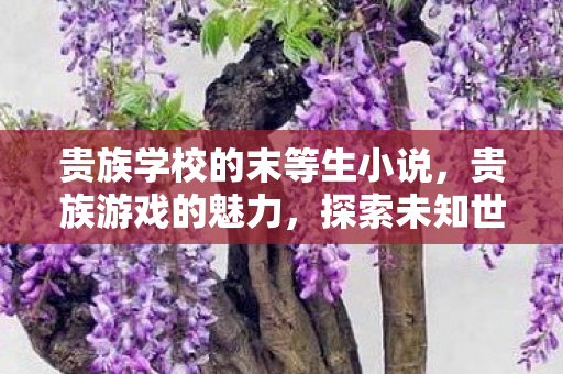 贵族学校的末等生小说,贵族游戏的魅力,探索未知世界的奇妙之旅 贵族学校的末等生小说,贵族游戏的魅力,探索未知世界的奇妙之旅