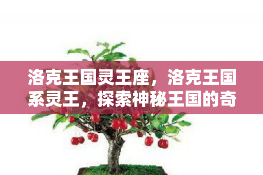 洛克王国灵王座，洛克王国系灵王，探索神秘王国的奇幻之旅