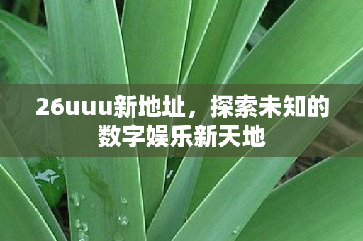 26uuu新地址,探索未知的数字娱乐新天地 26uuu新地址,探索未知的数字娱乐新天地