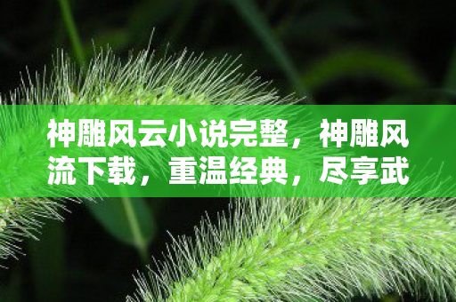 神雕风云小说完整,神雕风流下载,重温经典,尽享武侠情怀 神雕风云小说完整,神雕风流下载,重温经典,尽享武侠情怀