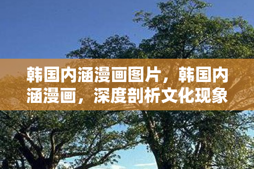 韩国内涵漫画图片,韩国内涵漫画,深度剖析文化现象与创作背后的故事 韩国内涵漫画图片,韩国内涵漫画,深度剖析文化现象与创作背后的故事