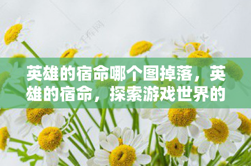 英雄的宿命哪个图掉落,英雄的宿命,探索游戏世界的无尽传奇 英雄的宿命哪个图掉落,英雄的宿命,探索游戏世界的无尽传奇