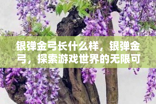 银弹金弓长什么样,银弹金弓,探索游戏世界的无限可能 银弹金弓长什么样,银弹金弓,探索游戏世界的无限可能