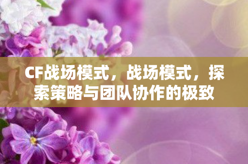 CF战场模式，战场模式，探索策略与团队协作的极致