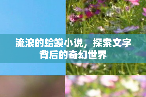 流浪的蛤蟆小说，探索文字背后的奇幻世界