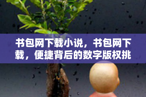 书包网下载小说,书包网下载,便捷背后的数字版权挑战 书包网下载小说,书包网下载,便捷背后的数字版权挑战