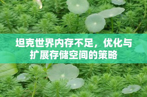 坦克世界内存不足,优化与扩展存储空间的策略 坦克世界内存不足,优化与扩展存储空间的策略