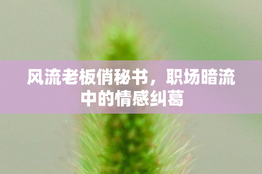 风流老板俏秘书,职场暗流中的情感纠葛 风流老板俏秘书,职场暗流中的情感纠葛
