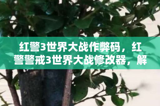红警3世界大战作弊码,红警警戒3世界大战修改器,解锁无限可能的战争模拟 红警3世界大战作弊码,红警警戒3世界大战修改器,解锁无限可能的战争模拟