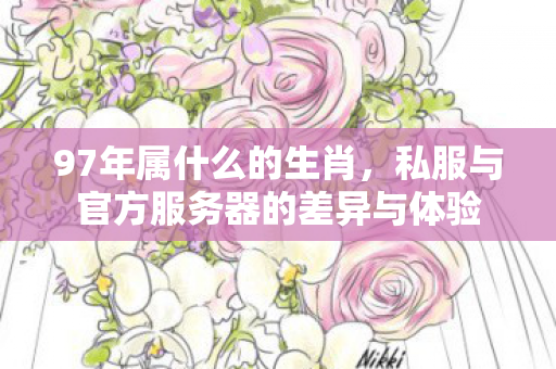 97年属什么的生肖，私服与官方服务器的差异与体验