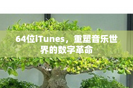 64位iTunes，重塑音乐世界的数字革命