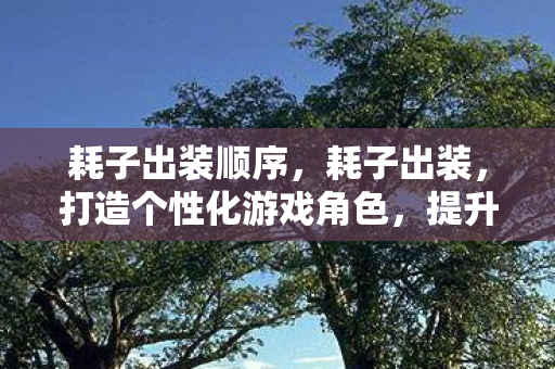 耗子出装顺序,耗子出装,打造个性化游戏角色,提升战斗力的秘密武器 耗子出装顺序,耗子出装,打造个性化游戏角色,提升战斗力的秘密武器