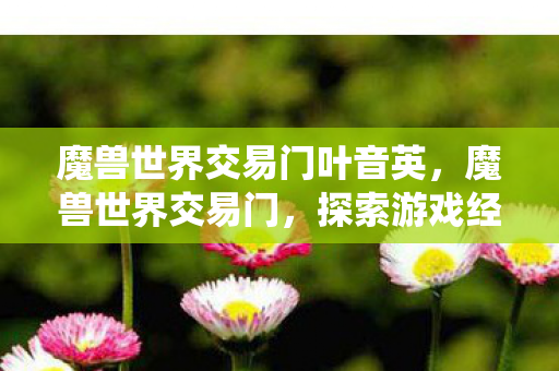 魔兽世界交易门叶音英,魔兽世界交易门,探索游戏经济系统的奥秘 魔兽世界交易门叶音英,魔兽世界交易门,探索游戏经济系统的奥秘