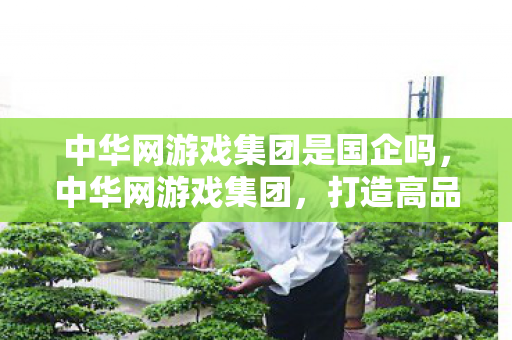 中华网游戏集团是国企吗,中华网游戏集团,打造高品质游戏体验,引领行业新风尚 中华网游戏集团是国企吗,中华网游戏集团,打造高品质游戏体验,引领行业新风尚