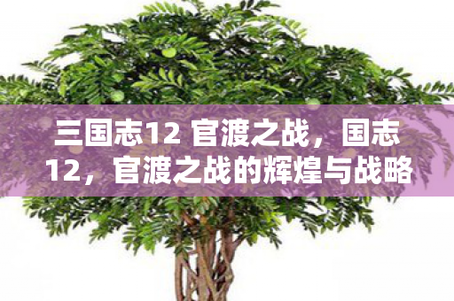 三国志12 官渡之战,国志12,官渡之战的辉煌与战略智慧 三国志12 官渡之战,国志12,官渡之战的辉煌与战略智慧