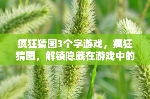 疯狂猜图3个字游戏，疯狂猜图，解锁隐藏在游戏中的神秘符号