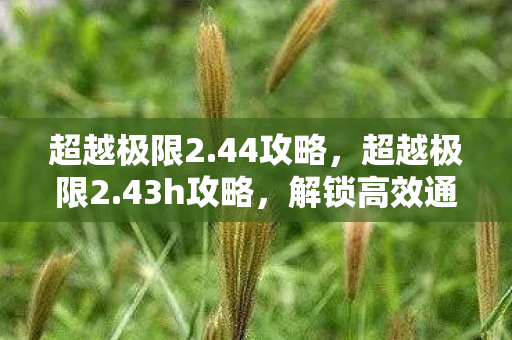 超越极限2.44攻略,超越极限2.43h攻略,解锁高效通关的秘诀 超越极限2.44攻略,超越极限2.43h攻略,解锁高效通关的秘诀
