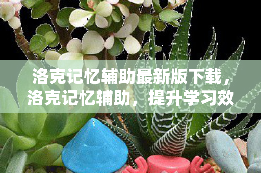 洛克记忆辅助最新版下载,洛克记忆辅助,提升学习效率的神奇工具 洛克记忆辅助最新版下载,洛克记忆辅助,提升学习效率的神奇工具
