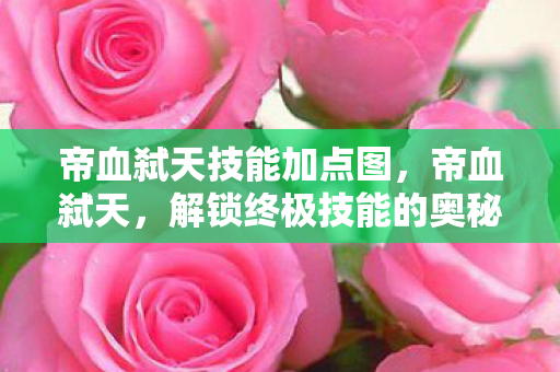 帝血弑天技能加点图,帝血弑天,解锁终极技能的奥秘 帝血弑天技能加点图,帝血弑天,解锁终极技能的奥秘