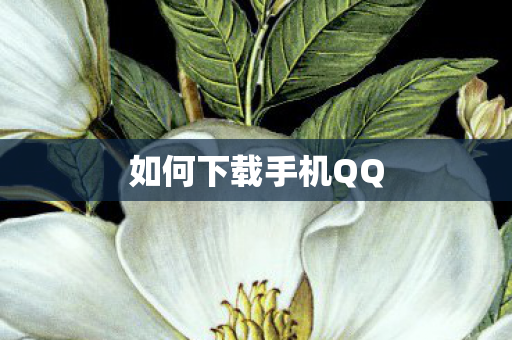 如何下载手机QQ 如何下载手机QQ